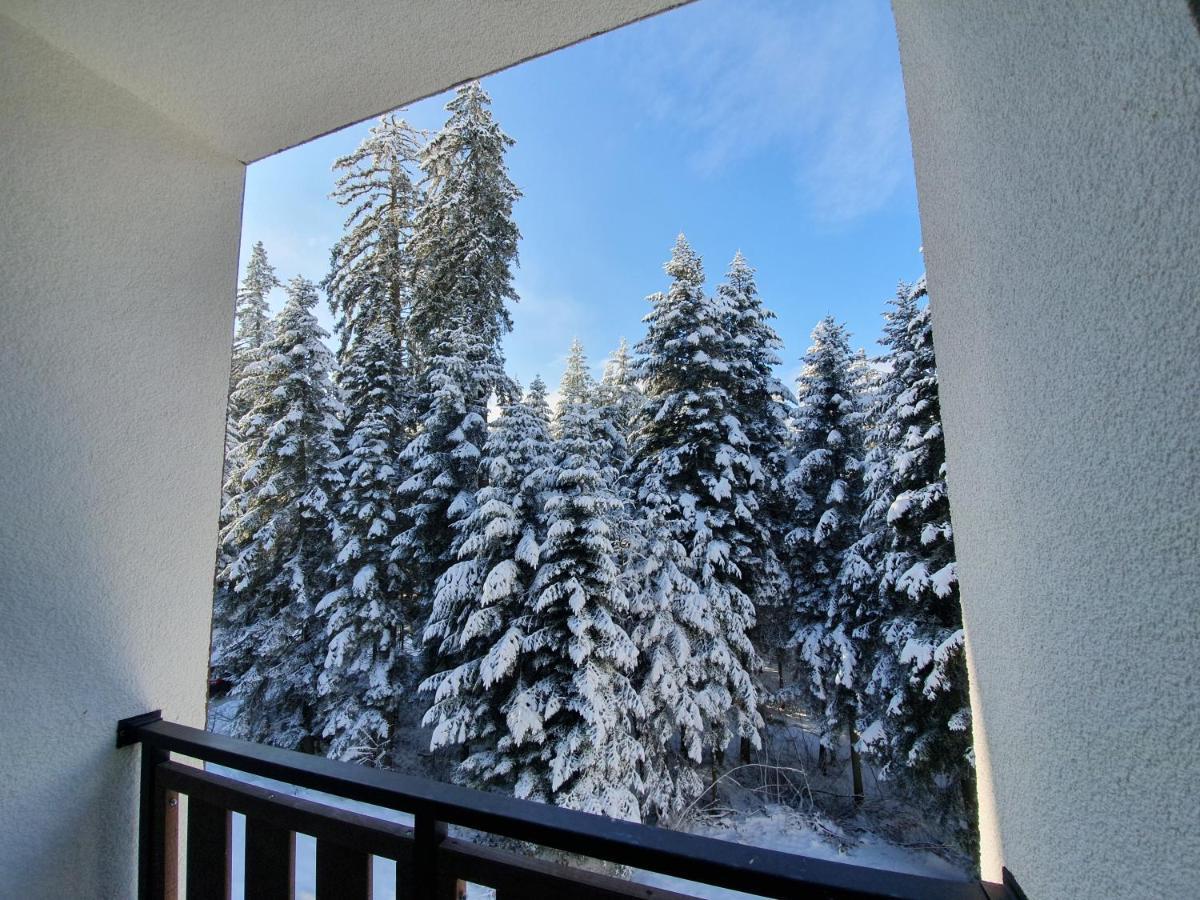Pinewood Ang Luxurious Apartment A43, Borovets Gardens Bagian luar foto